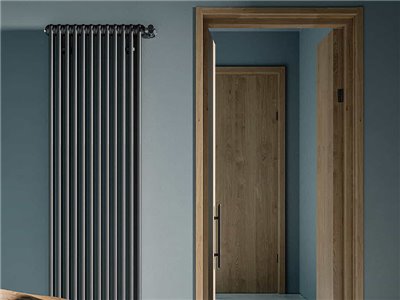 Radiateur eau chaude Tesi 2, 423 Watts Hauteur 750 mm