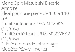 Armoire de climatisation PSA-M Inverter 12,1 kWatts Monophasé