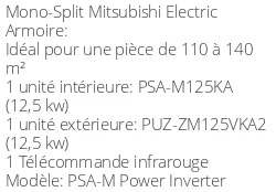 Armoire de climatisation PSA-M Power Inverter 12,5 kWatts Monophasé