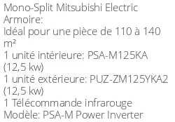 Armoire de climatisation PSA-M Power Inverter 12,5 kWatts Triphasé