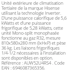 Unité extérieure Tertiaire 5.6 kWatts Monophasé - R32 - Hisense - Réf : AUW52U4RS4