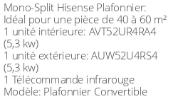 Climatiseur Plafonnier Convertible, 5,28 kWatts