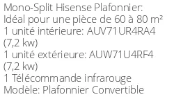 Climatiseur Plafonnier Convertible, 6,9 kWatts