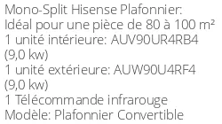 Climatiseur Plafonnier Convertible, 8,8 kWatts