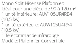 Climatiseur Plafonnier Convertible, 10 kWatts