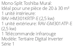 Climatiseur Mural Tertiaire Digital Inverter Série 1, 2,5 kWatts Monophasé