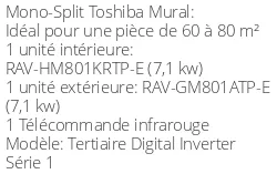 Climatiseur Mural Tertiaire Digital Inverter Série 1, 6,7 kWatts Monophasé