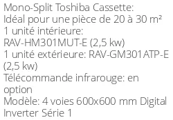 Climatiseur Cassette 4 voies 600x600 mm Digital Inverter Série 1, 2,5 kWatts