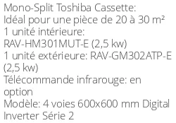 Climatiseur Cassette 4 voies 600x600 mm Digital Inverter Série 2, 2,5 kWatts