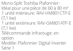 Climatiseur Plafonnier Digital Inverter Série 1, 6,9 kWatts Monophasé