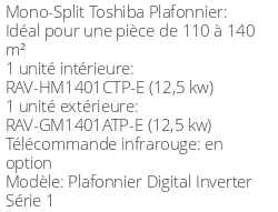 Climatiseur Plafonnier Digital Inverter Série 1, 12,1 kWatts Monophasé