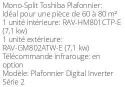 Climatiseur Plafonnier Digital Inverter Série 2, 6,9 kWatts Monophasé