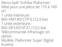 Climatiseur Plafonnier Super Digital Inverter, 12,5 kWatts Monophasé