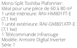 Climatiseur Armoire Digital Inverter Série 1, 6,7 kWatts Monophasé