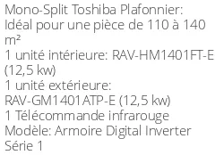 Climatiseur Armoire Digital Inverter Série 1, 12,1 kWatts Monophasé