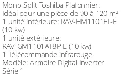 Climatiseur Armoire Digital Inverter Série 1, 9,5 kWatts Triphasé