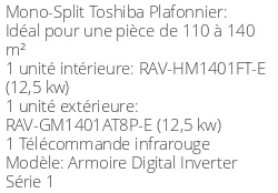 Climatiseur Armoire Digital Inverter Série 1, 12,1 kWatts Triphasé