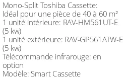 Climatiseur Smart Cassette, 5 kWatts