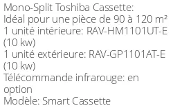 Climatiseur Smart Cassette, 10 kWatts