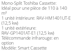 Climatiseur Smart Cassette, 12,5 kWatts