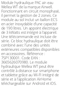 Module hydraulique Wellea WT 4.25/6 kWatts 190 Litres Monophasé R32