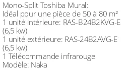 Climatiseur Mural Naka, 6,5 kWatts