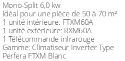 Climatiseur Daikin FTXM60A + RXM60A BLUEVOLUTION