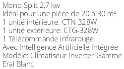 Climatiseur Mural Toyotomi Erai 9