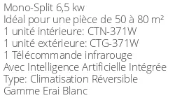 Climatiseur Mural Toyotomi Erai 24