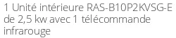 RAS-B10P2KVSG-E