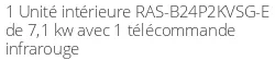 RAS-B24P2KVSG-E